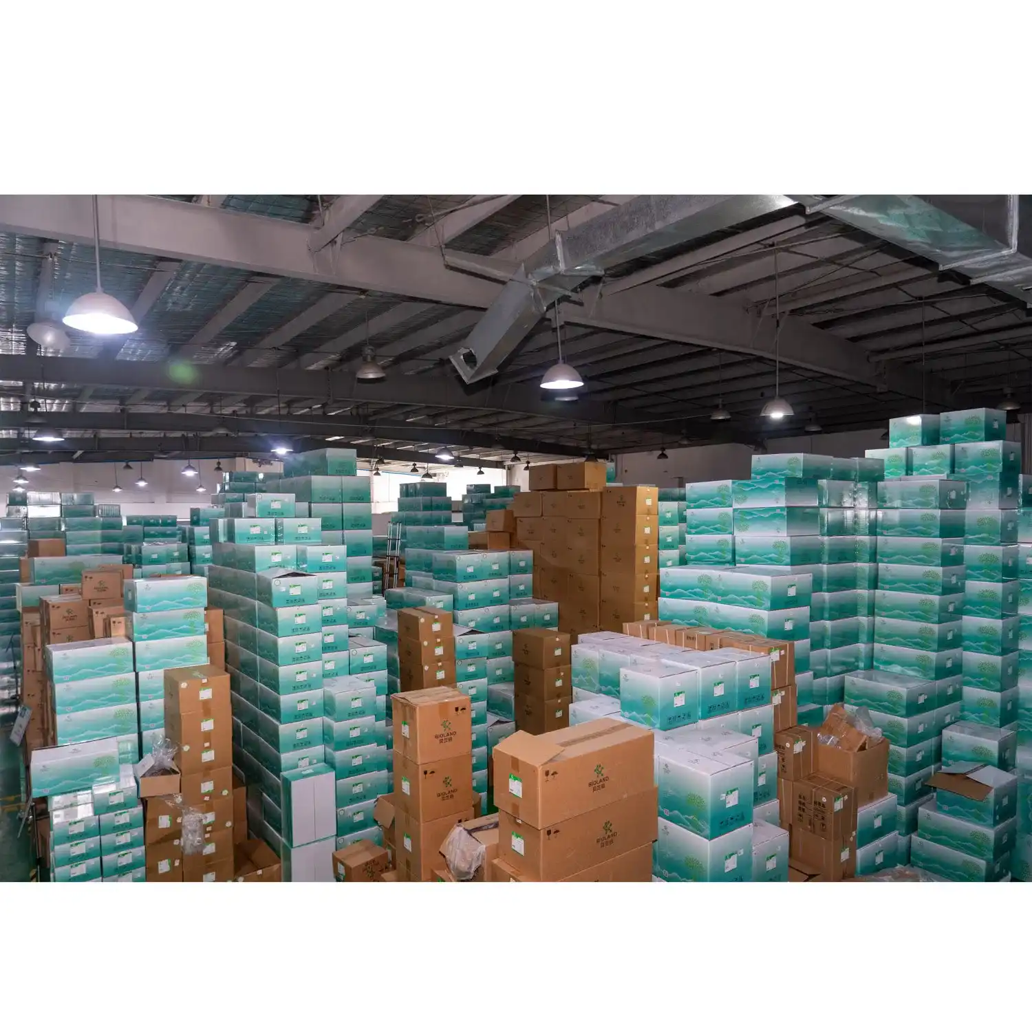 Wholesale Pricing Advantage